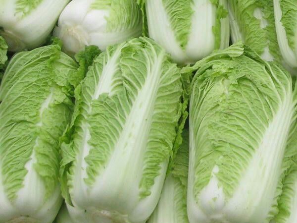 蔚县黄心大白菜  大白菜l