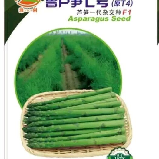 芦笋种子：中国芦笋中心品种《鲁芦笋7号》