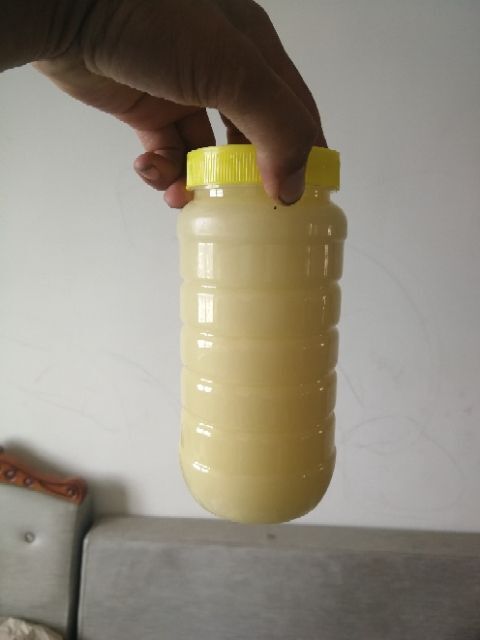 安庆意蜂蜂蜜 油菜蜜