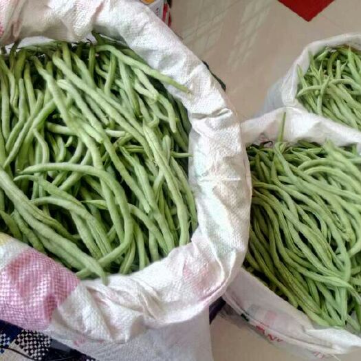 壶关县架豆王豆角 20cm以上 不打冷