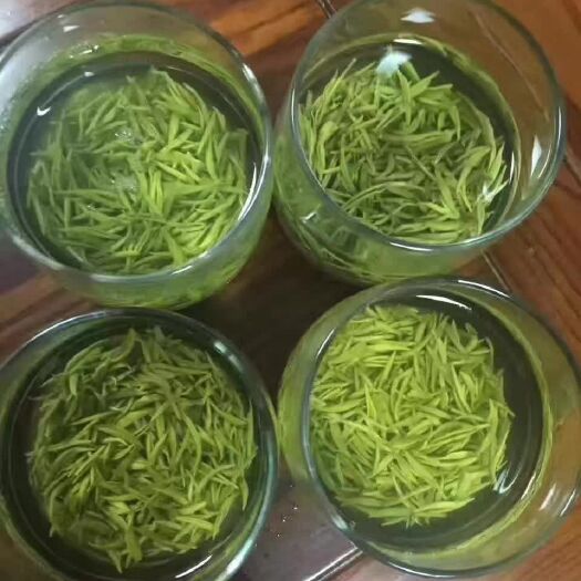 遂川县高山绿茶 散装 特级 