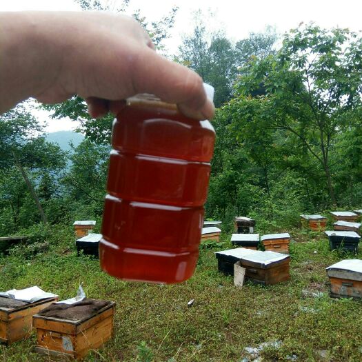绵竹市土蜂蜜 桶装  2年以上 