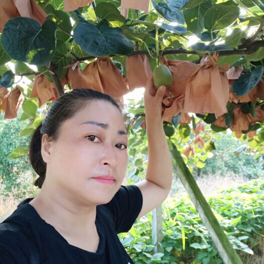 蒲江县红心猕猴桃 60克以下
