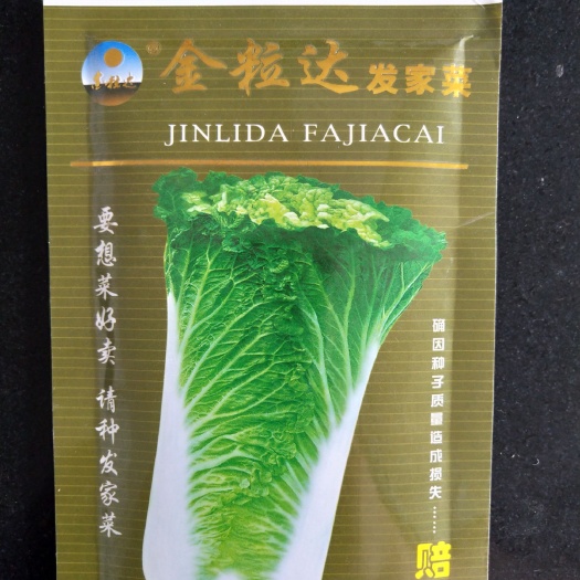 农安县大白菜种子 杂交种