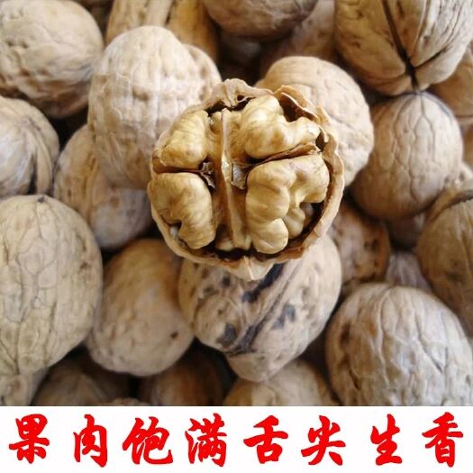肥城市山核桃 