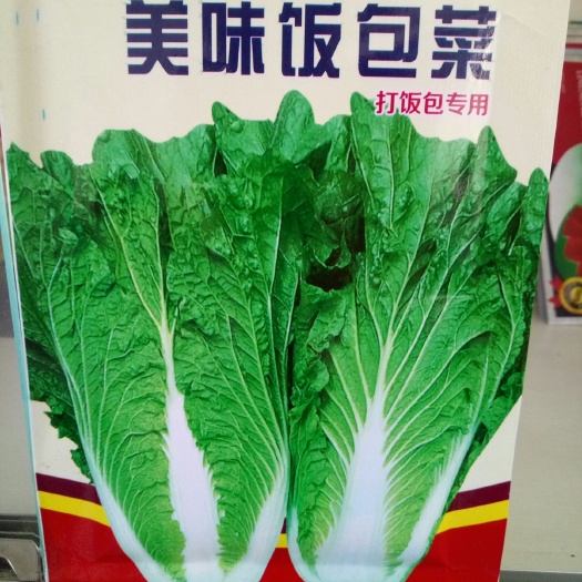 农安县小白菜种子 原种