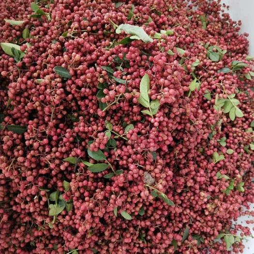 芮城县大红袍花椒 干花椒 一级