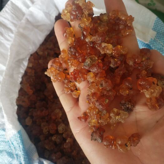 随州食用桃胶 12-18个月 