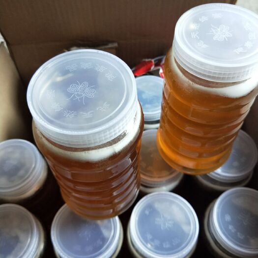 普宁市土蜂蜜 塑料瓶装  2年以上 