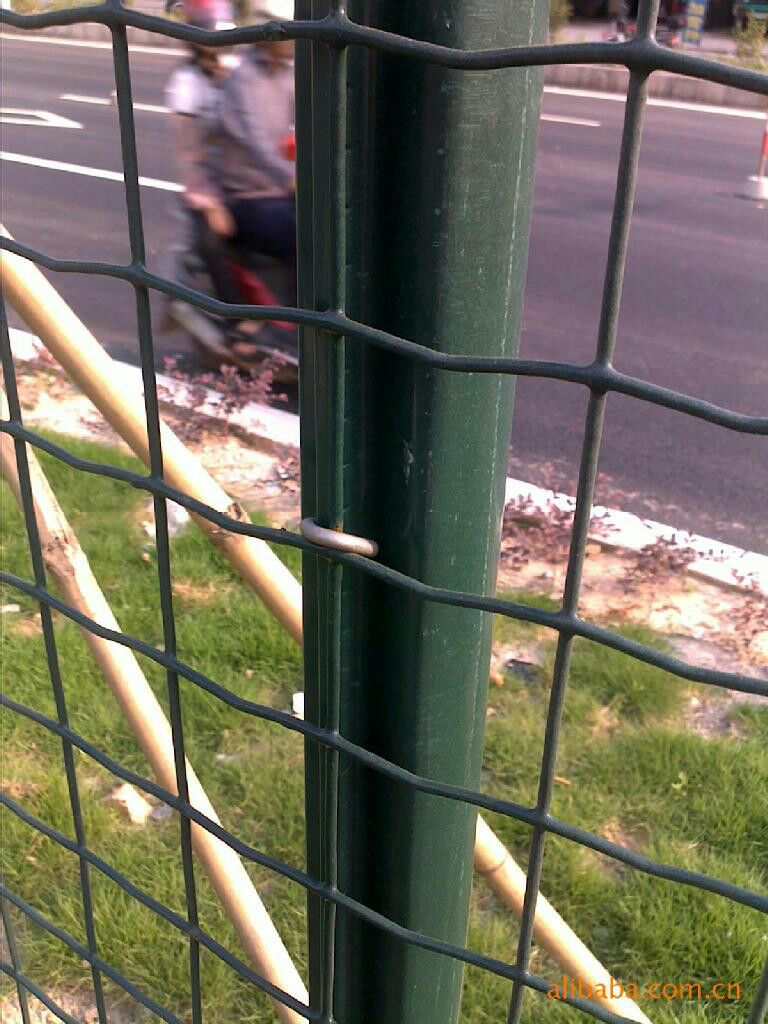 荷兰网硬塑铁丝网围栏网防锈低碳钢丝圈地隔离防护网养殖网养鸡网