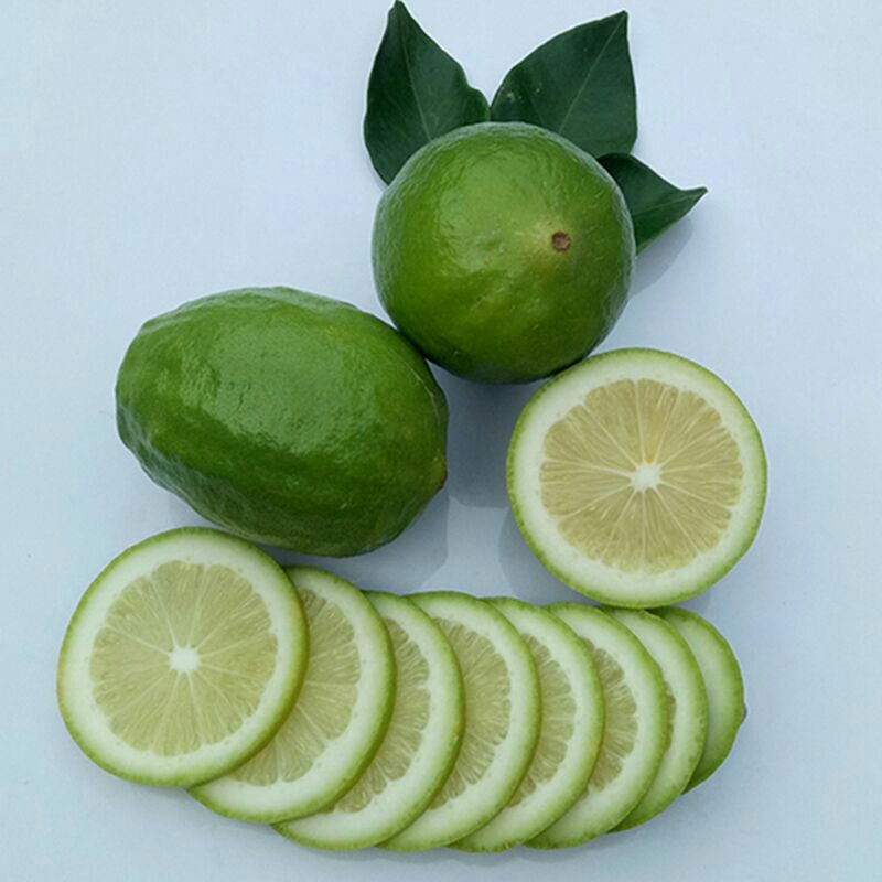 四季青柠檬 2 - 2.6两