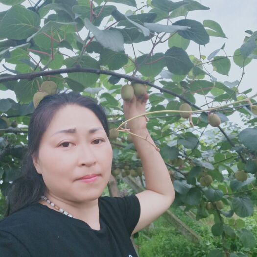 蒲江县蒲江猕猴桃 70克以下