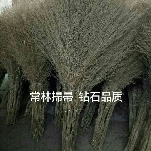 临沭县扫把 金枝扫帚