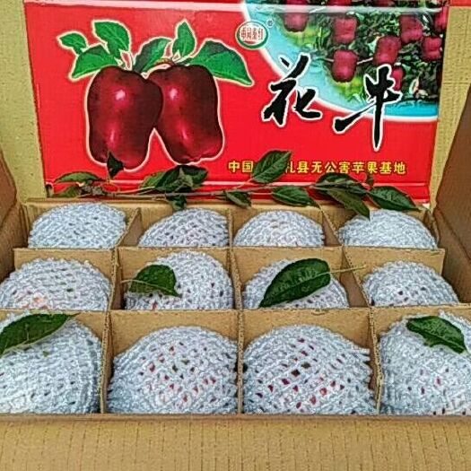 礼县花牛苹果 光果 全红 70mm以上 