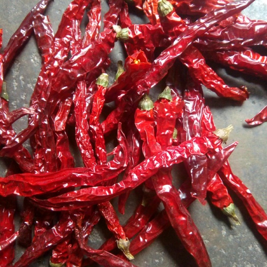 遵义二荆条干辣椒