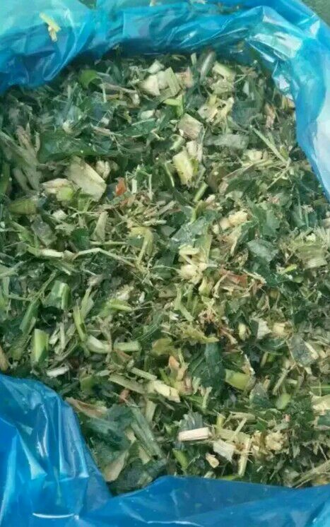 惠民县牛羊饲料