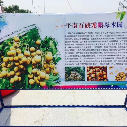 平南龙眼特卖
