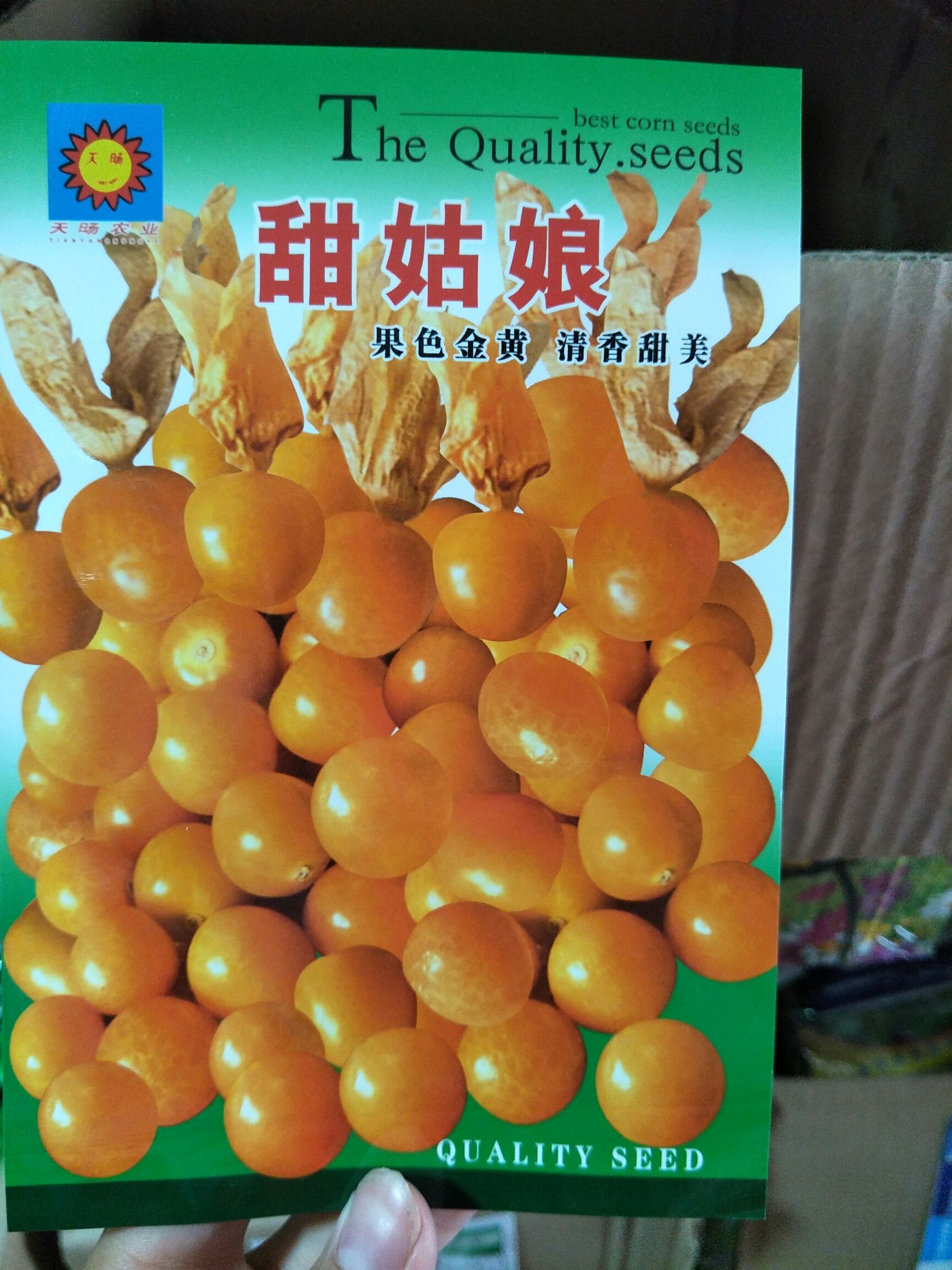 菇娘 