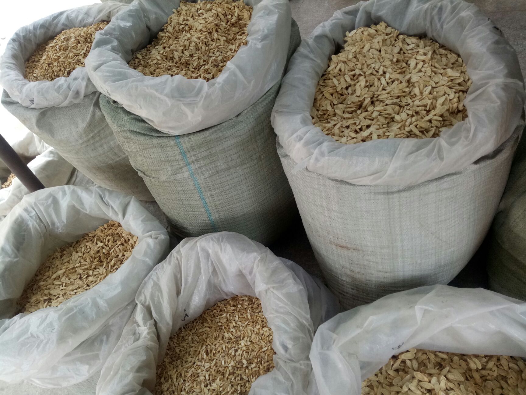 精选瓜子片黄芪 可泡水