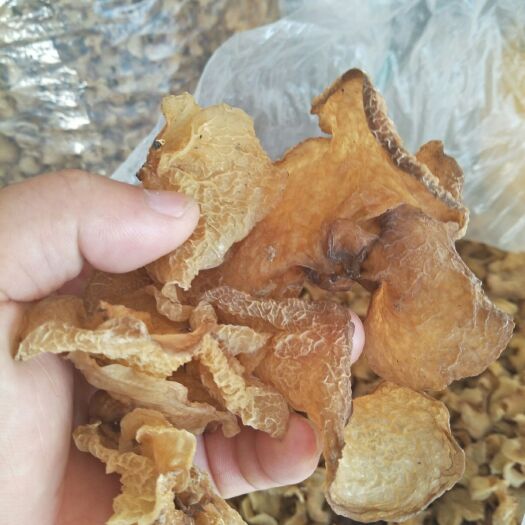 定南县椴木银耳 江西省赣州市定南县