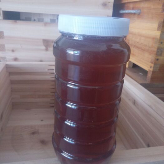 东安县荆条蜜 塑料瓶装  2年 