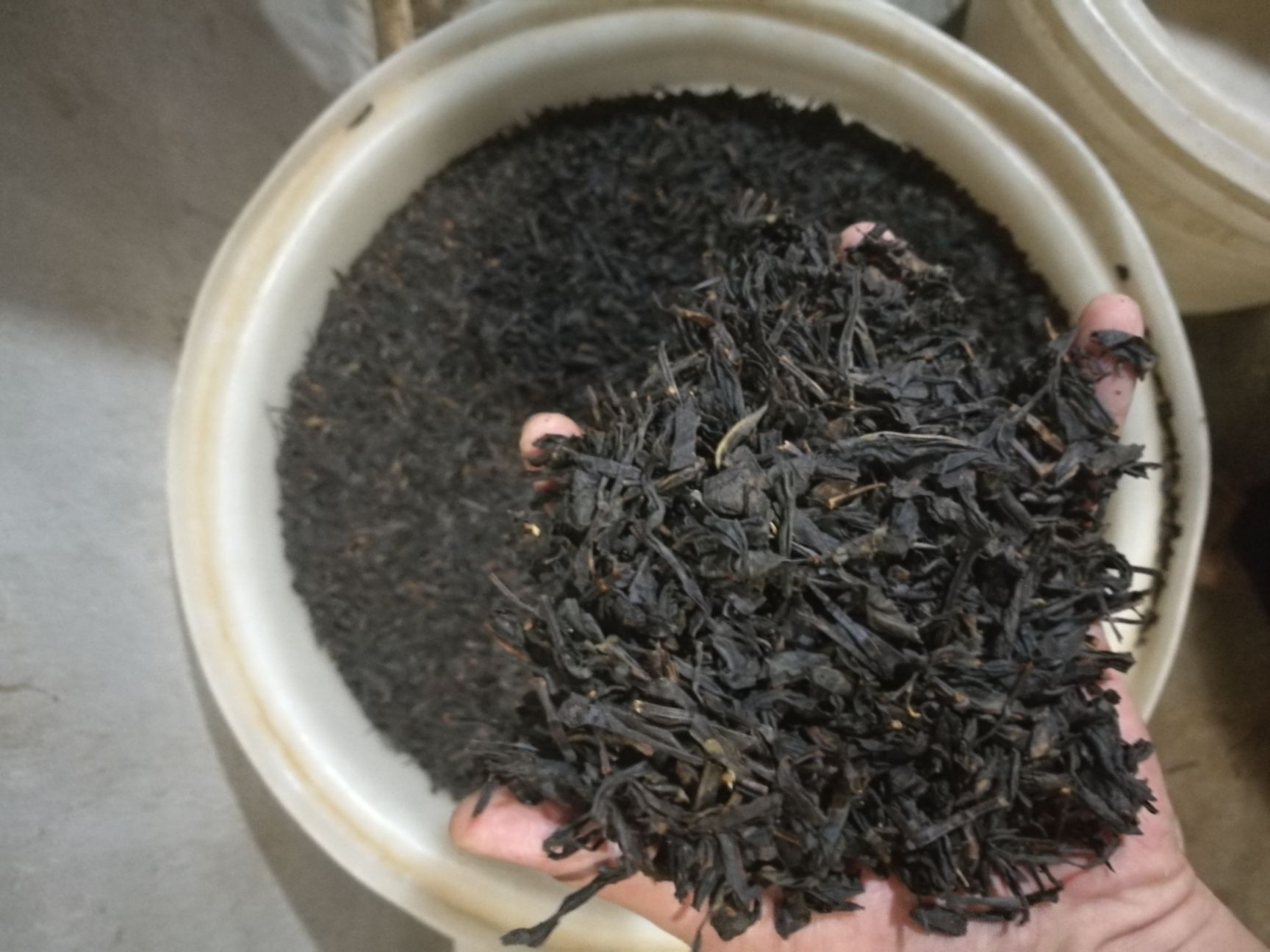 高山野生茶 袋装 三级