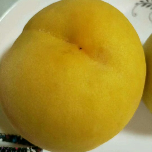 蒙阴县锦绣黄桃。招，代。理