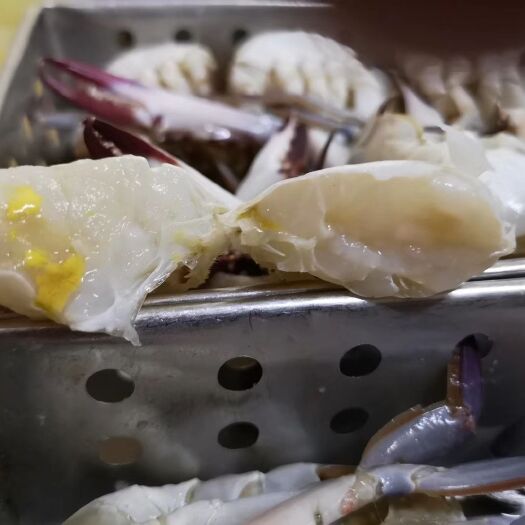 舟山梭子蟹 2.5-3.0两 统货 