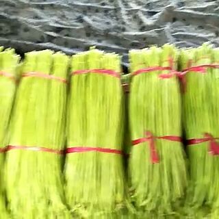 沂南县长豇豆 山东省临沂市沂南县
