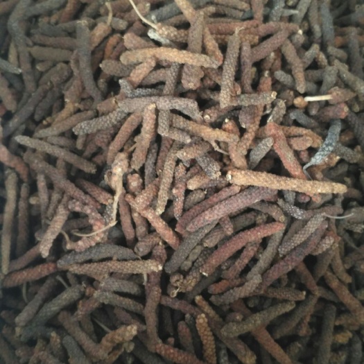 成都荜茇