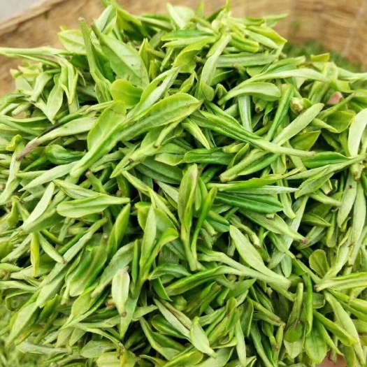 五莲县日照绿茶 一级 袋装