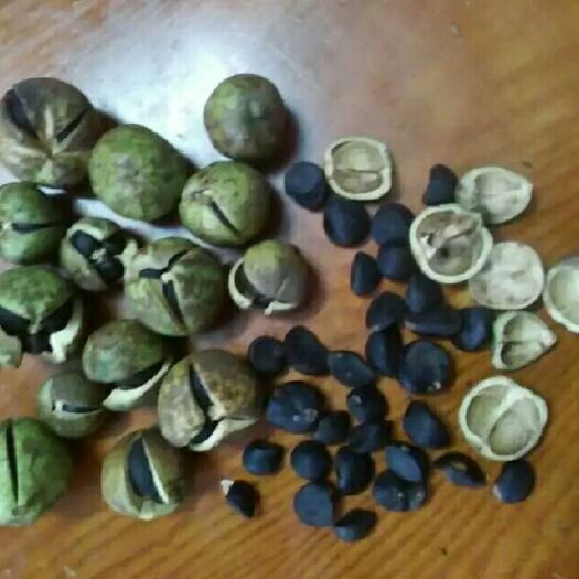 阳山县有机山茶油 