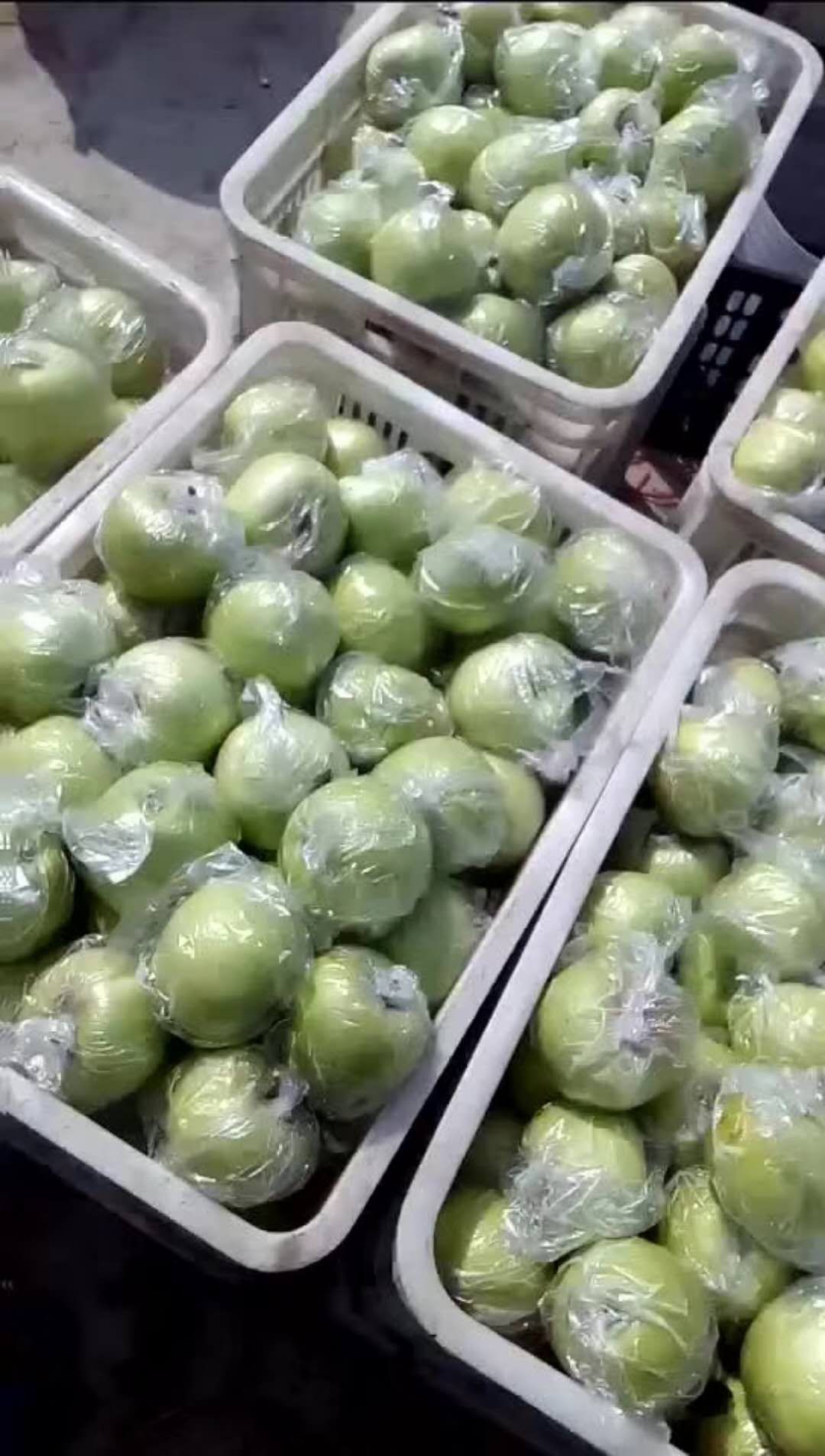 美八苹果 纸+膜袋 翠绿 70mm以上