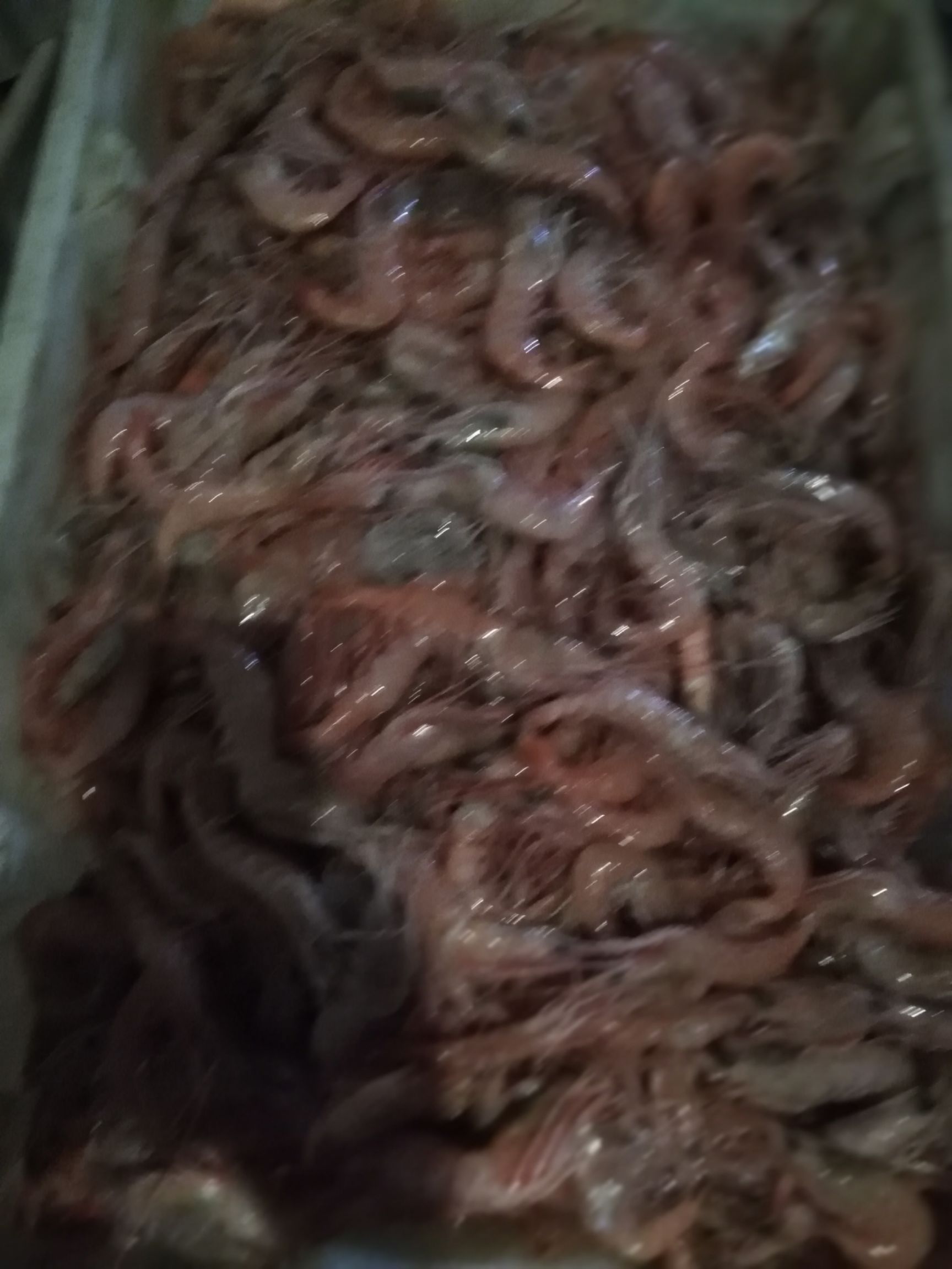 红虾 