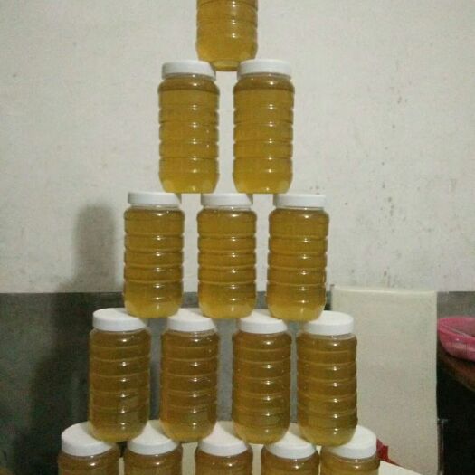 平和县土蜂蜜 塑料瓶装  2年