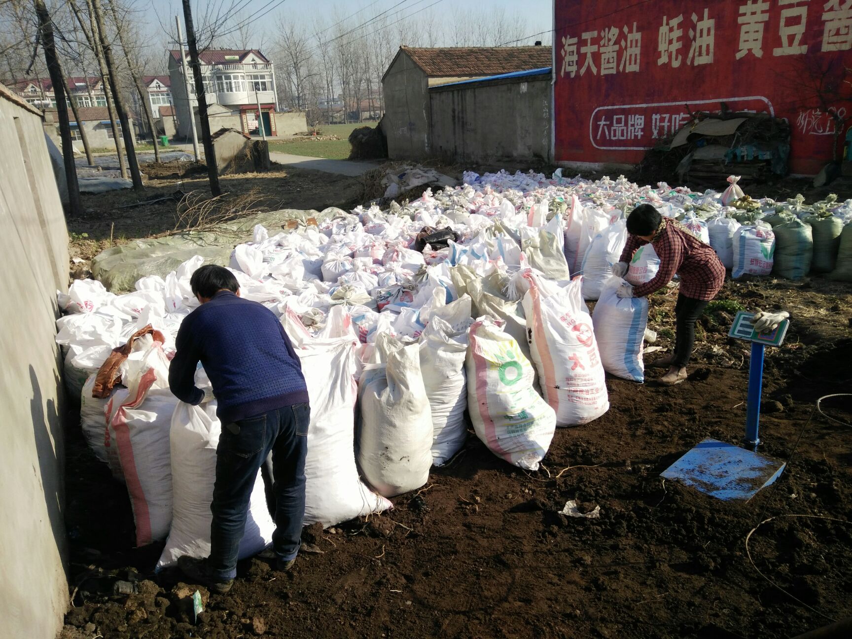 配合饲料  天然有机蚯蚓粪，适用于水产养殖