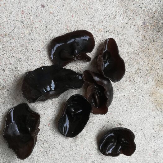襄樊黑木耳 干木耳 特级 