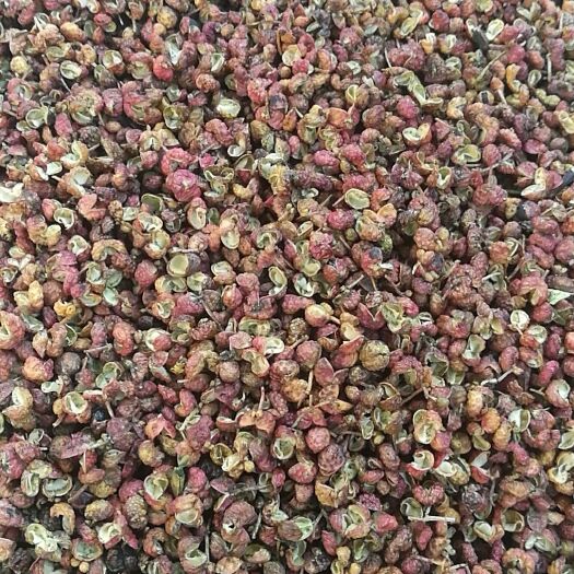 富平县大红袍花椒 干花椒 二级
