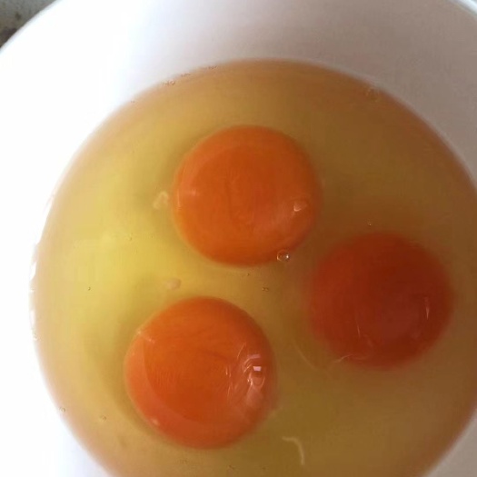 天津虫子鸡蛋 食用 散装 