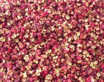 花椒叶 鲜花椒 一级