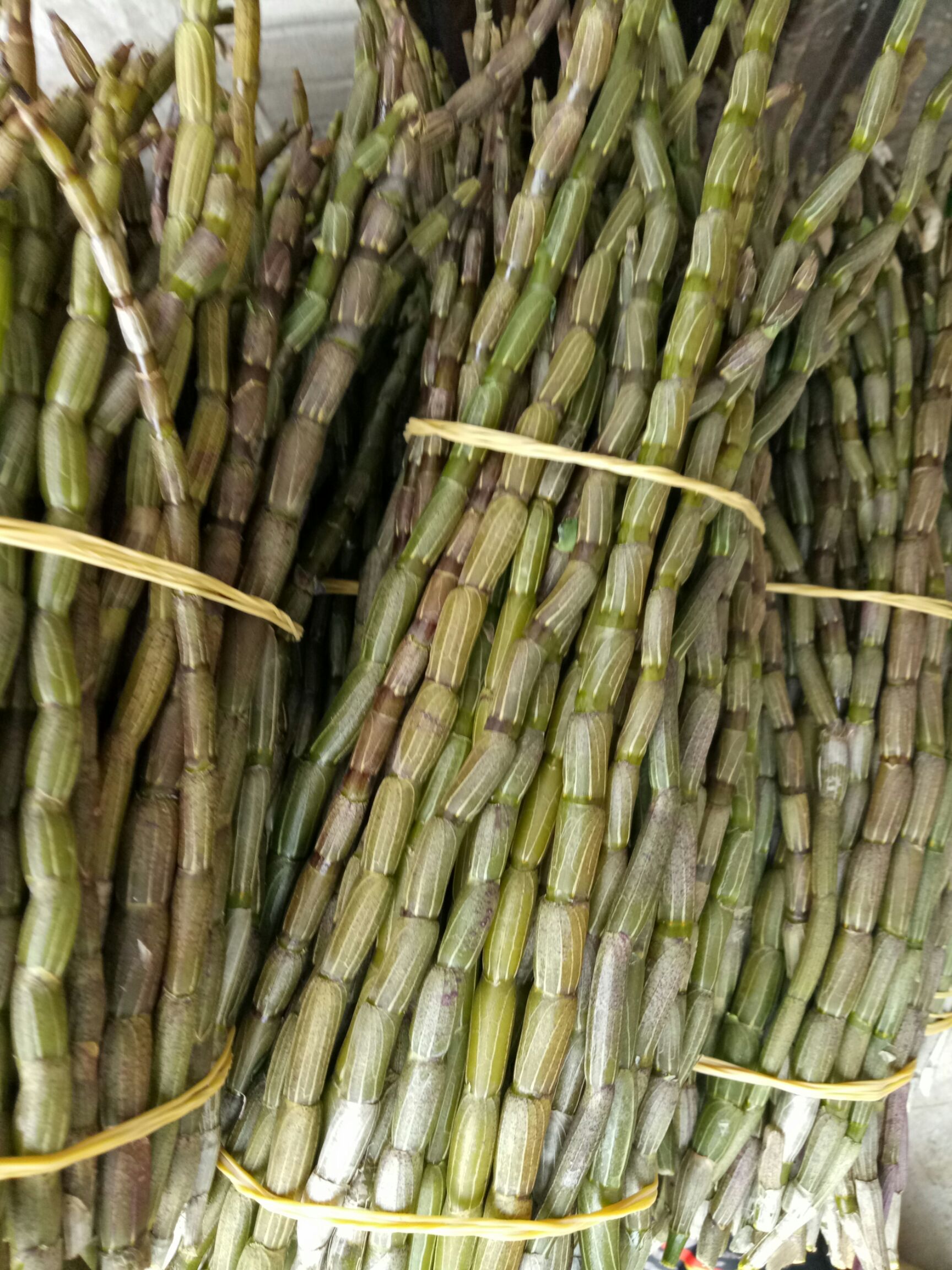 铁皮石斛  优质 优质鲜条，干花，干条，铁皮枫斗，三七，冬虫夏草