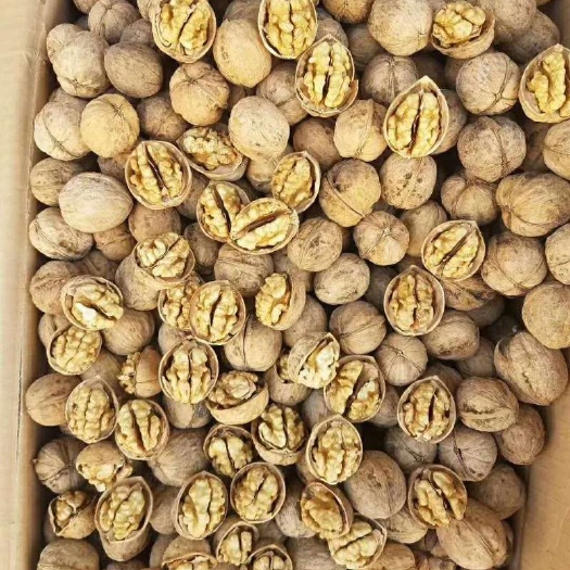 赞皇县薄皮核桃