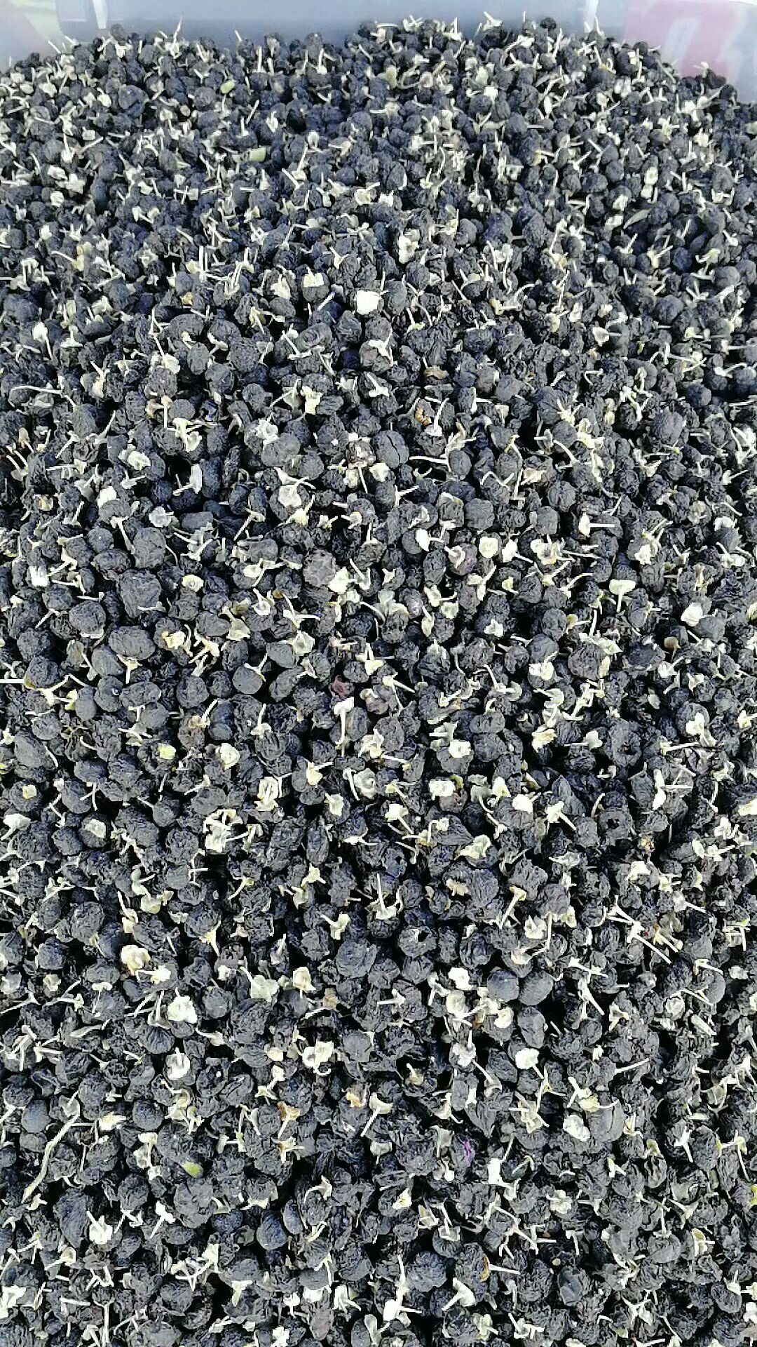  正宗青海野生黑枸杞农户直发（包邮）