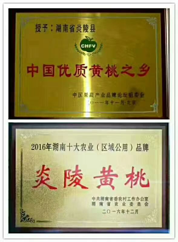炎陵黄桃 70mm以上 4两以上
