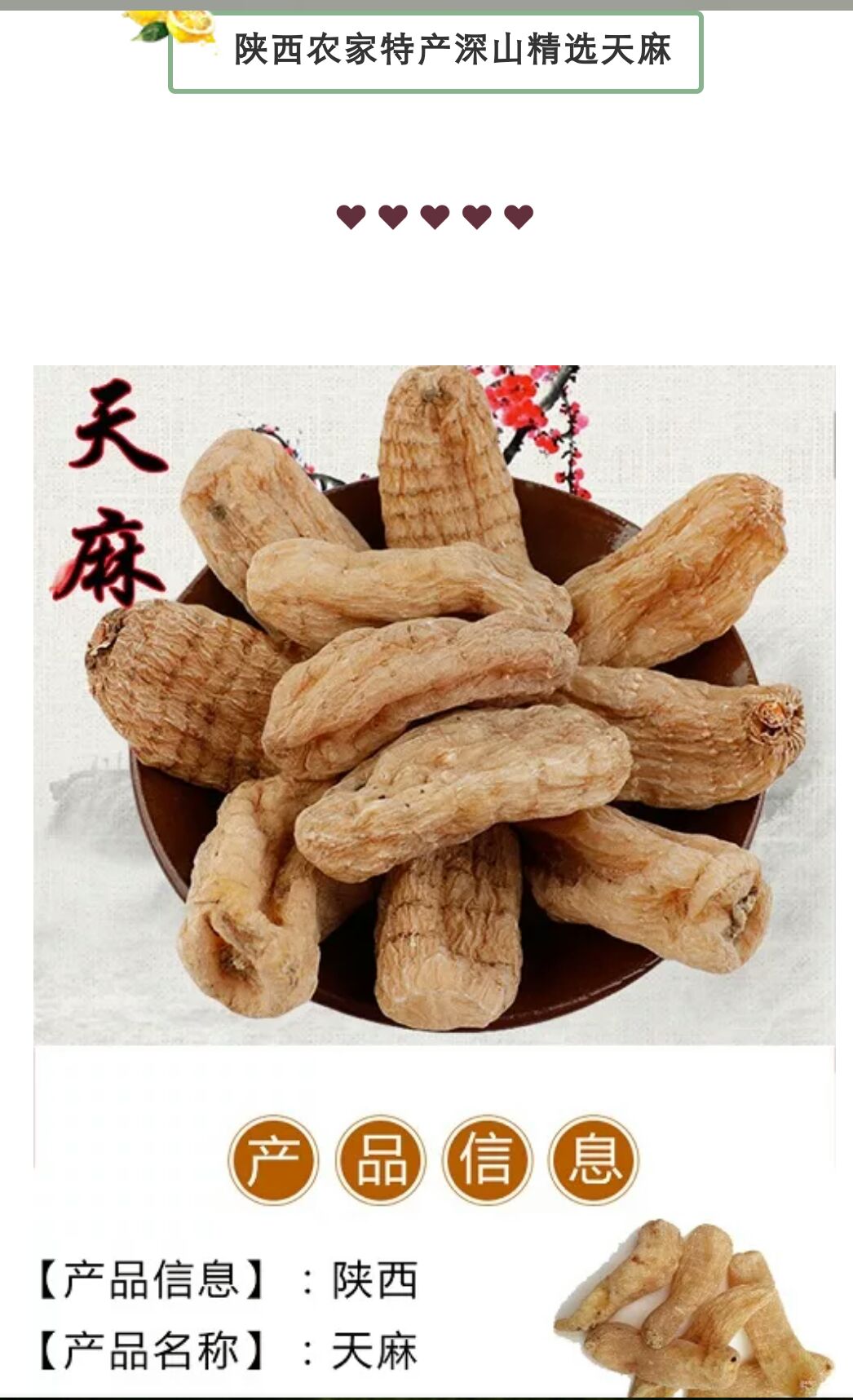 天麻 