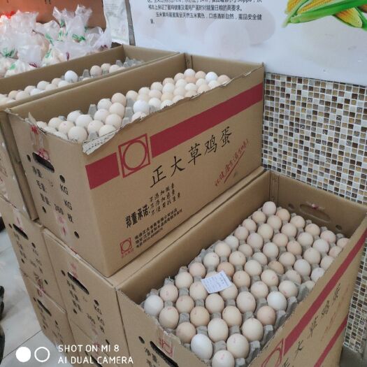 张家港市粉蛋 食用 箱装 