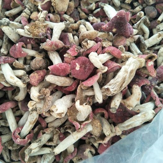 南漳县红菇干 散装 1年