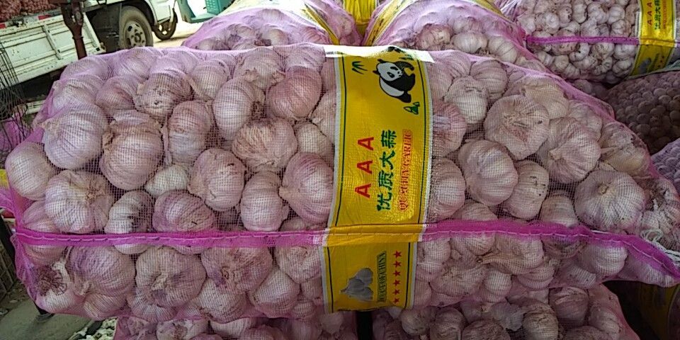 中牟县红皮大蒜 混级统货 多瓣蒜 