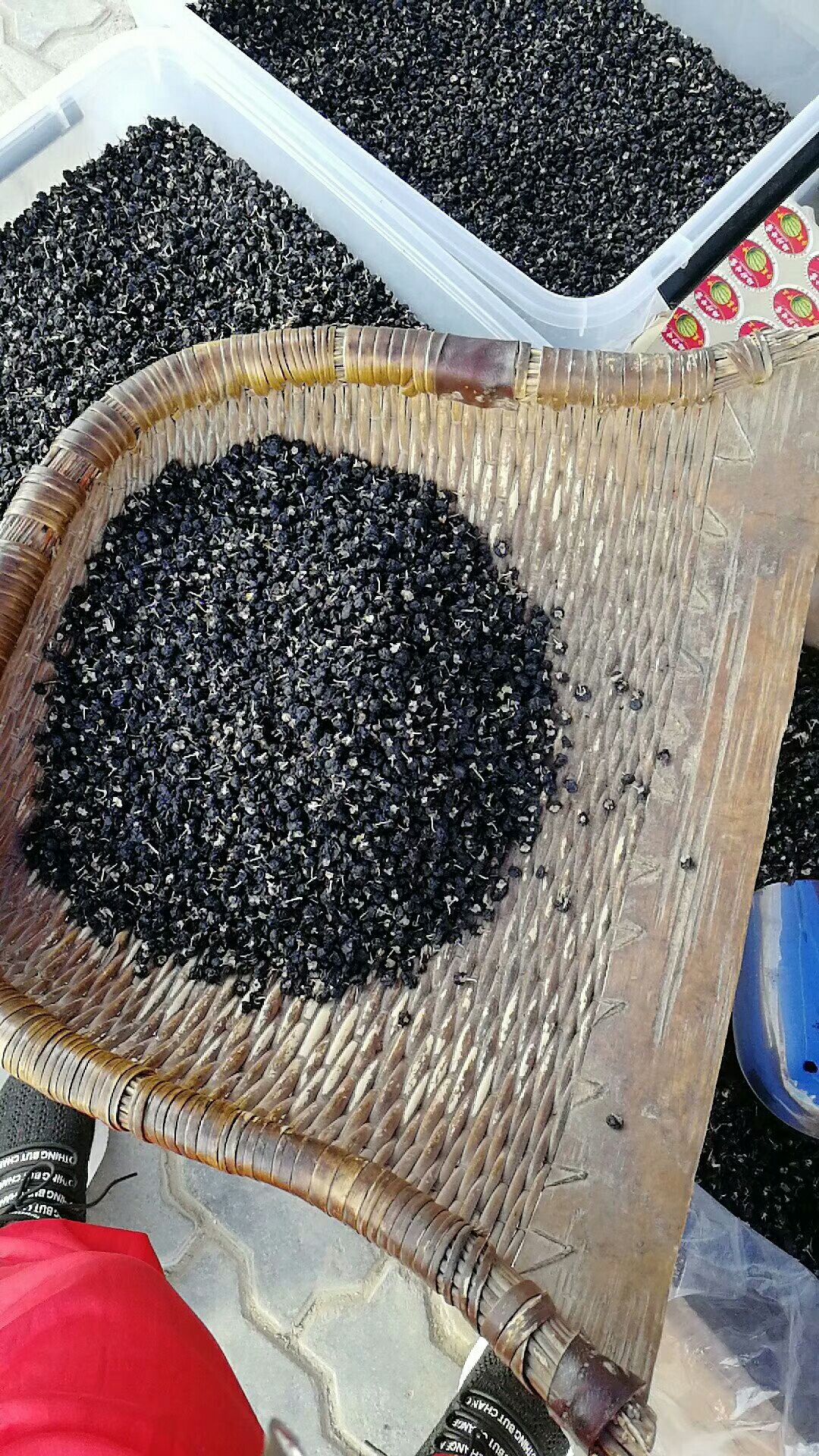  正宗青海野生黑枸杞农户直发（包邮）