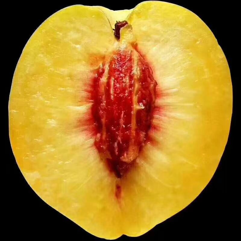 炎陵黄桃 55mm以上 4两以上 